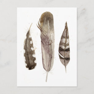 Earthtone Feathers II Postcard