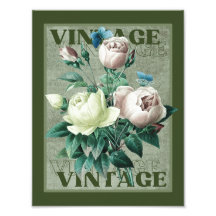 Earthy Green Vintage Heirloom Roses Fine Art Print