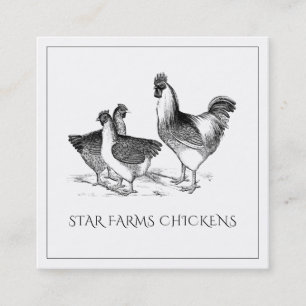 Earthy Rustic Chicken Poultry Farm Square Business Card