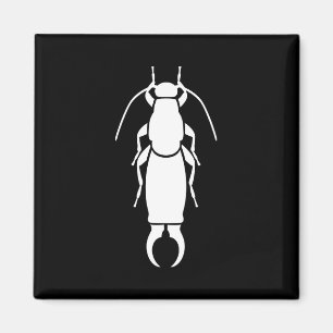 Earwig Magnet