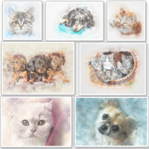 Easily create a Pet Photo Contour