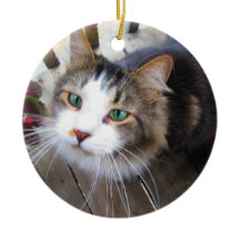 Easily Create Your Own Add 2 Photos Custom Ceramic