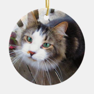 Easily Create Your Own Add 2 Photos Custom Ceramic Ceramic Tree Decoration