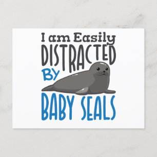 Easily Distracted by Baby Seals Seal Lover Postcard