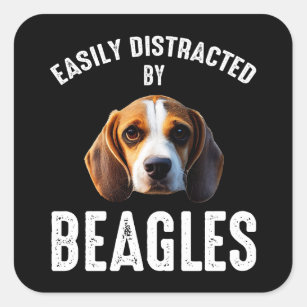 Easily Distracted By Beagles Square Sticker