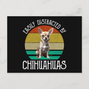 Easily Distracted By Chihuahuas Postcard