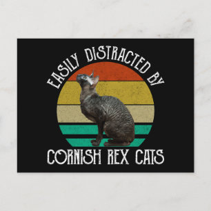 Easily Distracted By Cornish Rex Cats Postcard