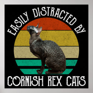 Easily Distracted By Cornish Rex Cats Poster
