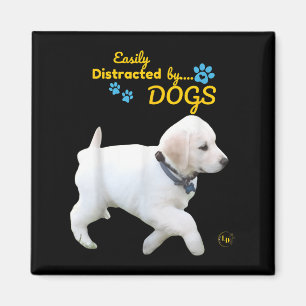 Easily Distracted By Dogs Fun Cheerful - Men Women Magnet