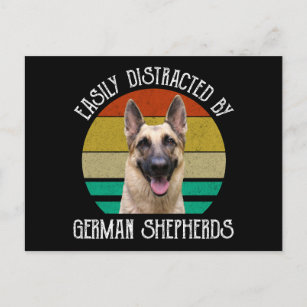 Easily Distracted By German Shepherds Postcard