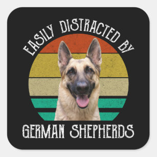 Easily Distracted By German Shepherds Square Sticker