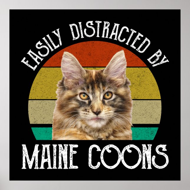 Easily Distracted By Maine Coons Poster (Front)