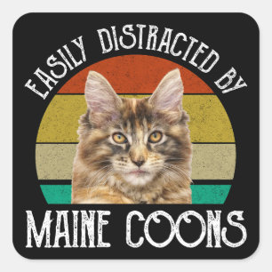 Easily Distracted By Maine Coons Square Sticker