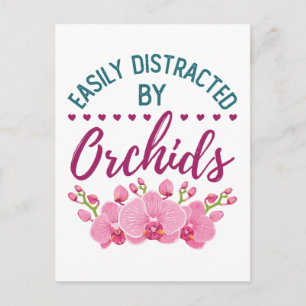 Easily Distracted by Orchids Orchid Lover Postcard