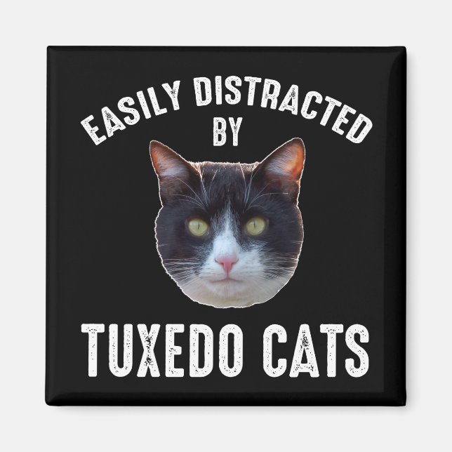 Easily Distracted By Tuxedo Cats Magnet (Front)