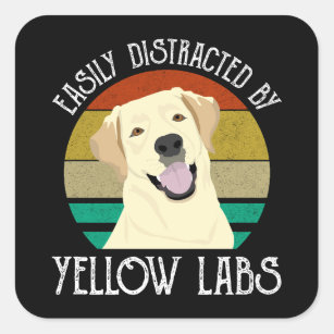 Easily Distracted By Yellow Labs Square Sticker