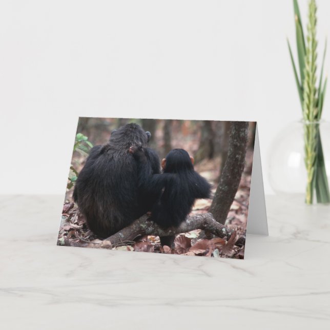 East Africa, Tanzania Card (Front)