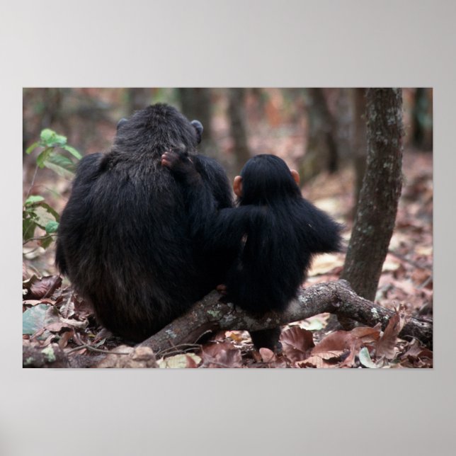 East Africa, Tanzania Poster (Front)