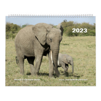 East African Animals (Two-Page) Calendar