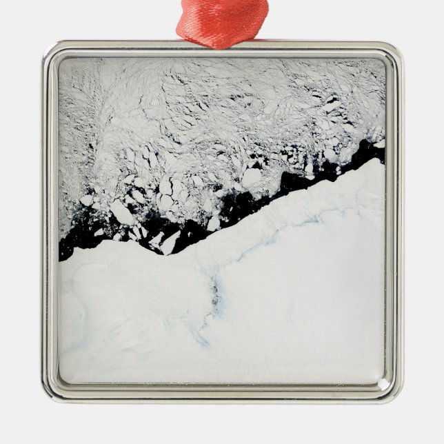 East AntarcticaÃ¯Â¿Â½s Prince Olav Coast Metal Tree Decoration (Front)