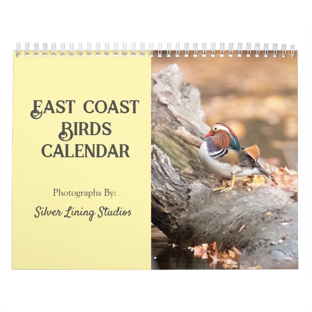 East Coast Birds Calendar (Cover)