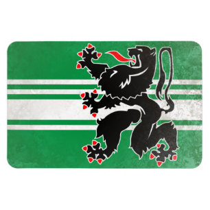 East Flanders Magnet