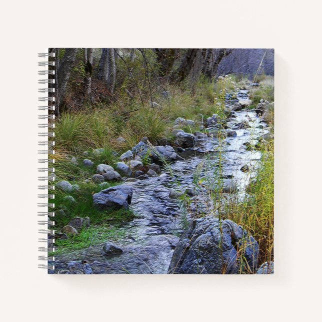 East Fork/Hayfork creek...... Notebook (Front)