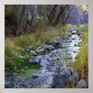 East Fork/Hayfork creek...... Poster