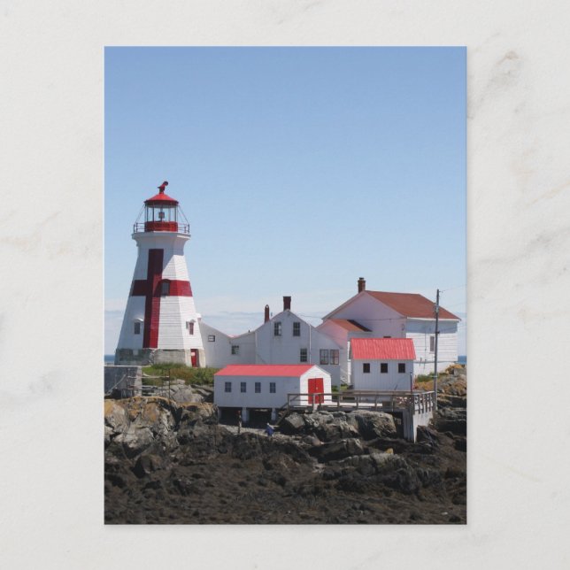 East Quoddy Lighthouse Postcard (Front)