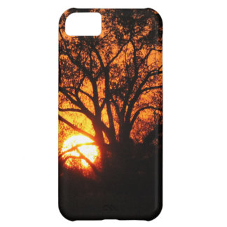 East Texas Sunset iPhone 5C Case