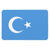 East Turkestan Uyghur Flag