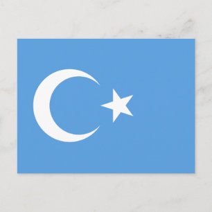 East Turkestan Uyghur Flag Postcard