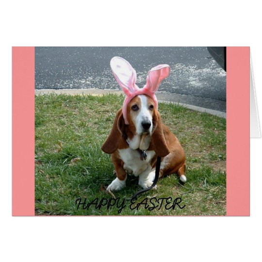 Easter basset, HAPPY EASTER card