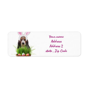 Easter Basset Hound