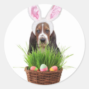 Easter Basset Hound dog Classic Round Sticker