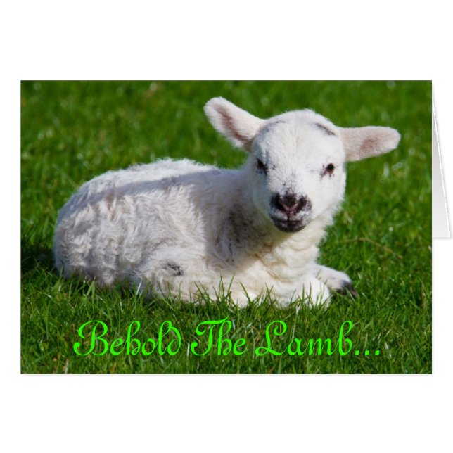 Easter Behold the Lamb III (Front Horizontal)