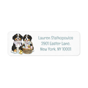 Easter Bernese Mountain Dogs