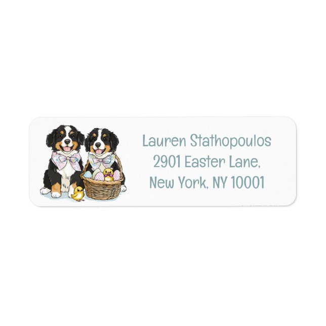 Easter Bernese Mountain Dogs (Front)