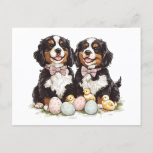 Easter Bernese Mountain Dogs Easter Eggs Holiday Postcard