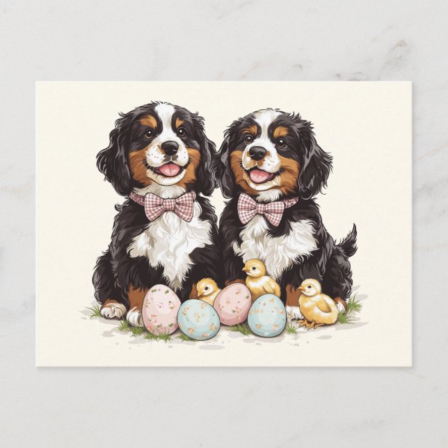 Easter Bernese Mountain Dogs Easter Eggs Postcard (Front)