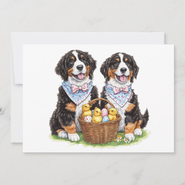 Easter Bernese Mountain Dogs Holiday Card (Front)