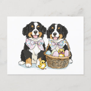 Easter Bernese Mountain Dogs Holiday Postcard