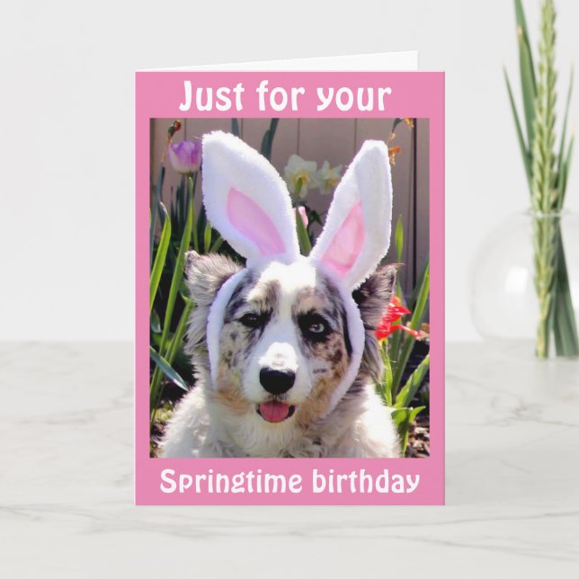 ***EASTER BIRTHDAY*** TOOK MY EARS OUT FOR "YOU" CARD (Front)