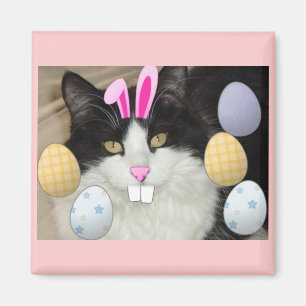 Easter Black and White Cat Magnet