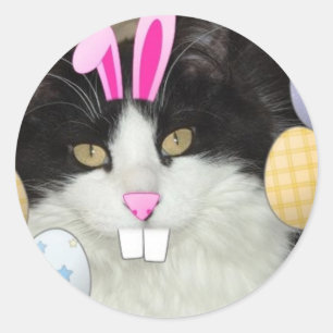 Easter Black and White Kitty Cat Classic Round Sticker