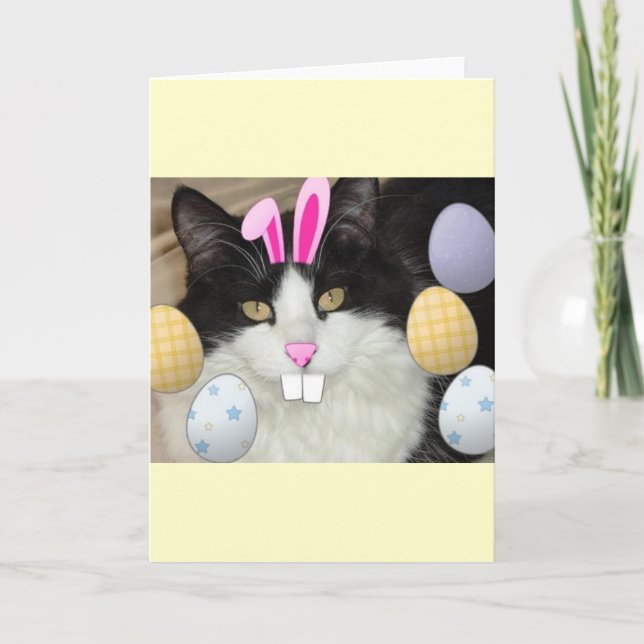 Easter Black and White Kitty Cat Holiday Card (Front)