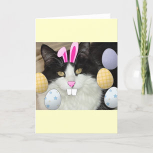 Easter Black and White Kitty Cat Holiday Card