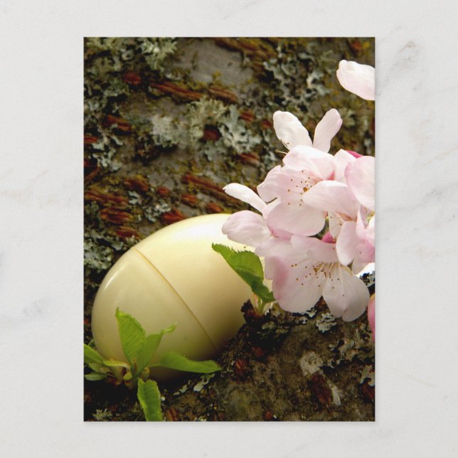 Easter Blossoms Holiday Postcard (Front)