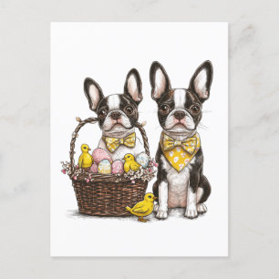Easter Boston Terrier Dogs Holiday Postcard