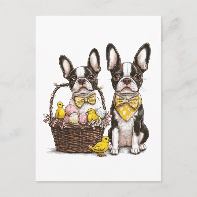 Easter Boston Terrier Dogs Holiday Postcard (Front)